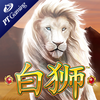 Bai Shi
